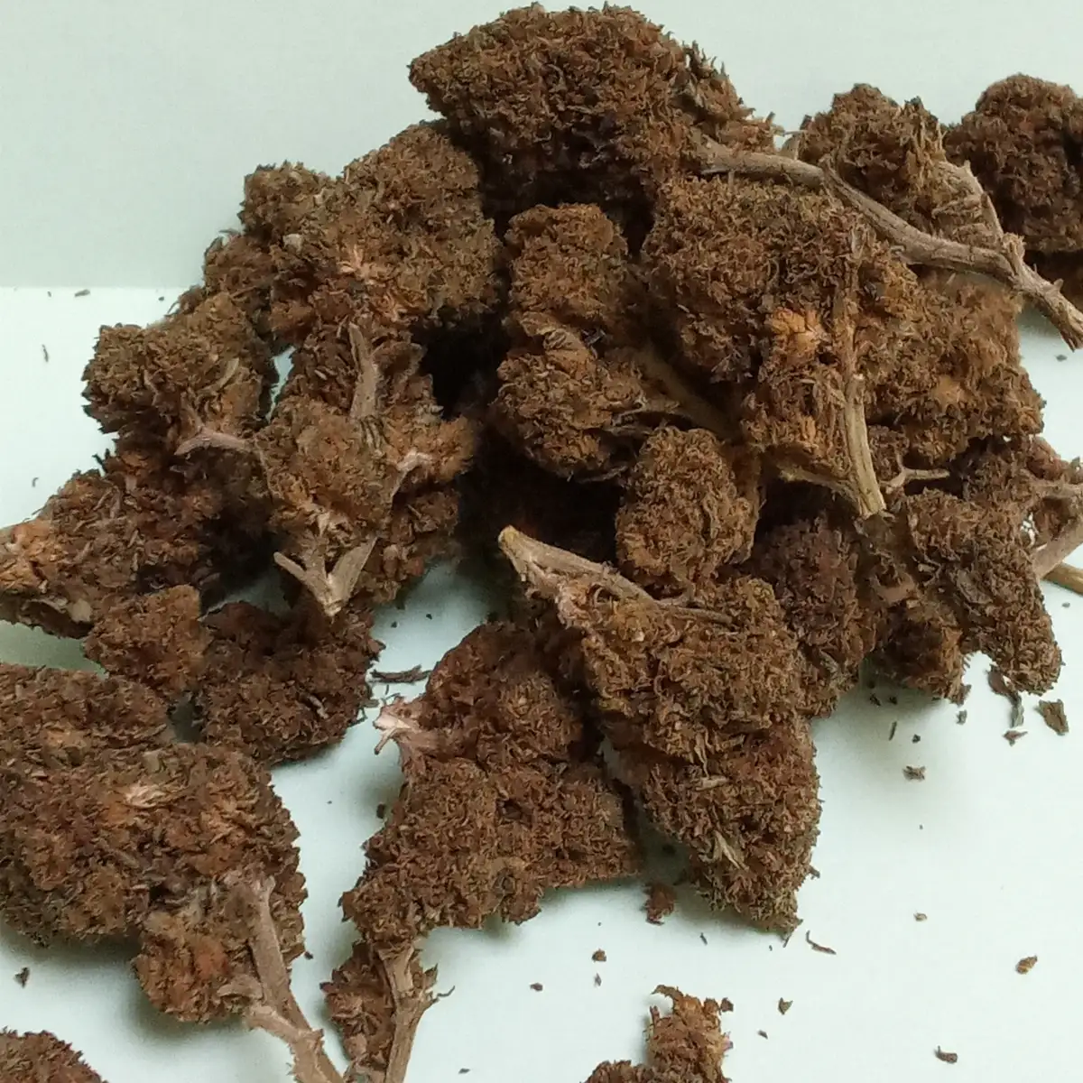 FLEUR DE CBD SKYWALKER