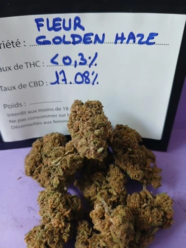 FLEUR GOLDEN HAZE