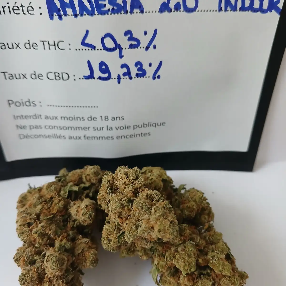 FLEUR AMNESIA INDOOR 2.0